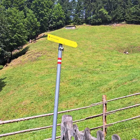 Dachstein By Interhome Filzmoos