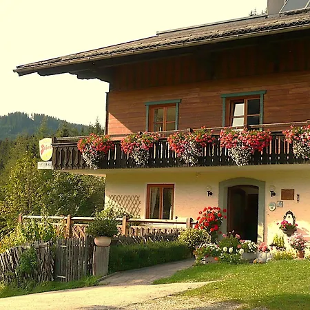 Dachstein By Interhome Apartment Filzmoos