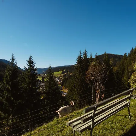 Dachstein By Interhome Filzmoos